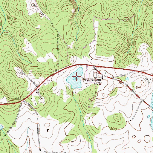 Topographic Map of Rice Lake, GA