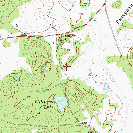 Topographic Map of Shiloh Lake, GA