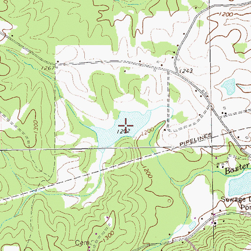 Topographic Map of Baxter Lake, GA