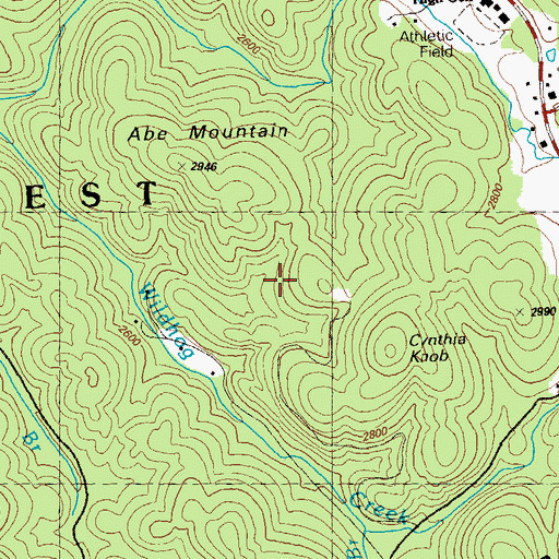 Topographic Map of Woody Lake Dam, GA