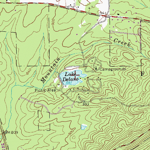 Topographic Map of Delano Lake Dam, GA