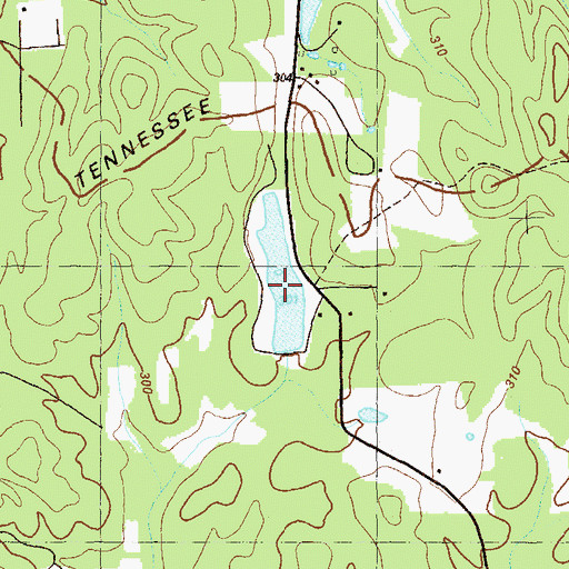 Topographic Map of Smith Green East Lake, GA