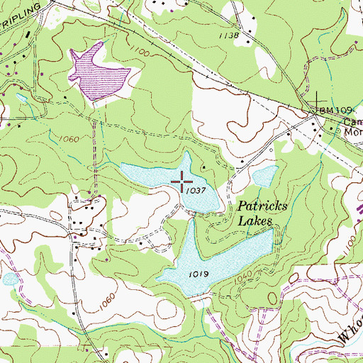 Topographic Map of Patrick North Lake, GA