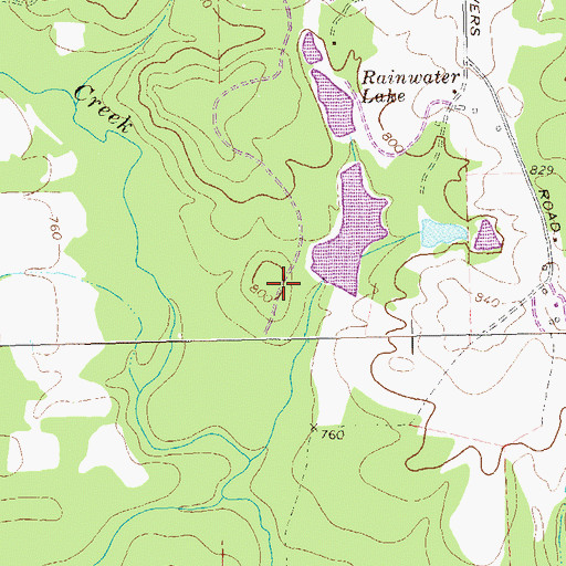 Topographic Map of New Rainwater Lake, GA