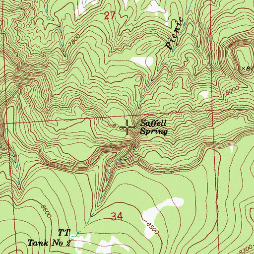 Topographic Map of Saffell Spring, AZ