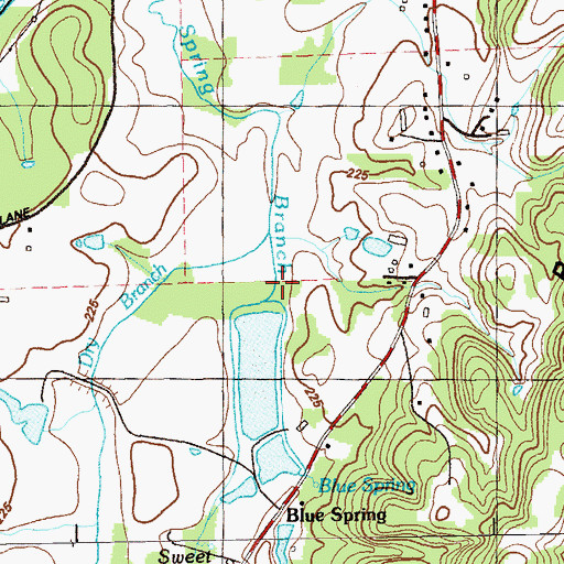 Topographic Map of Blue Spring Lake Dam, GA