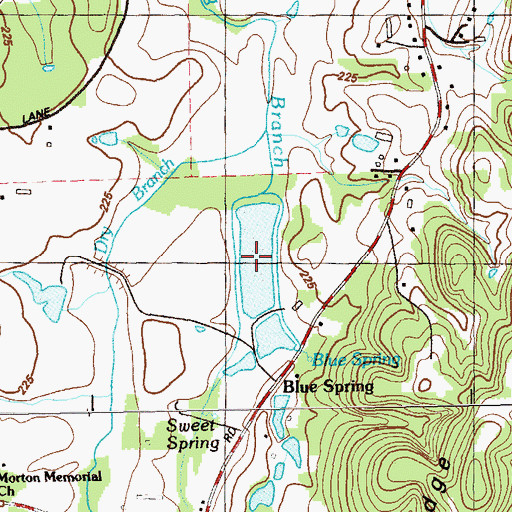 Topographic Map of Blue Spring Lake, GA