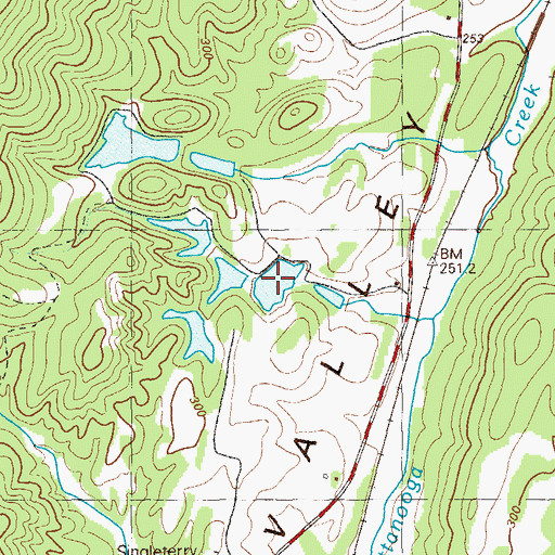 Topographic Map of Ott Lake, GA