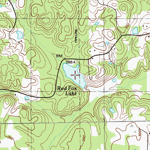 Topographic Map of Red Fox Lake, GA