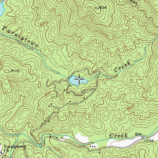Topographic Map of Little Turniptown Creek Lake, GA