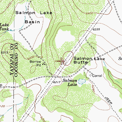 Topographic Map of Salmon Lake Butte, AZ