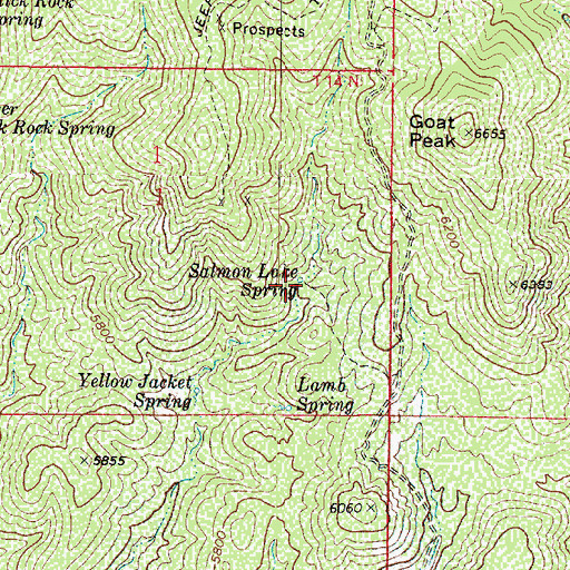 Topographic Map of Salmon Lake Spring, AZ