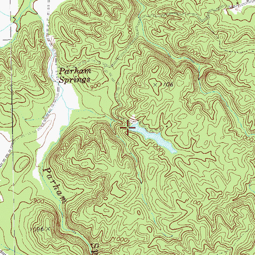 Topographic Map of Parham Springs Lake, GA