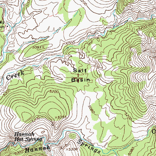 Topographic Map of Salt Basin, AZ