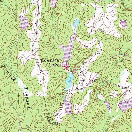 Topographic Map of Coursey Lake Dam, GA
