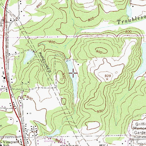 Topographic Map of Taylors Lake, GA