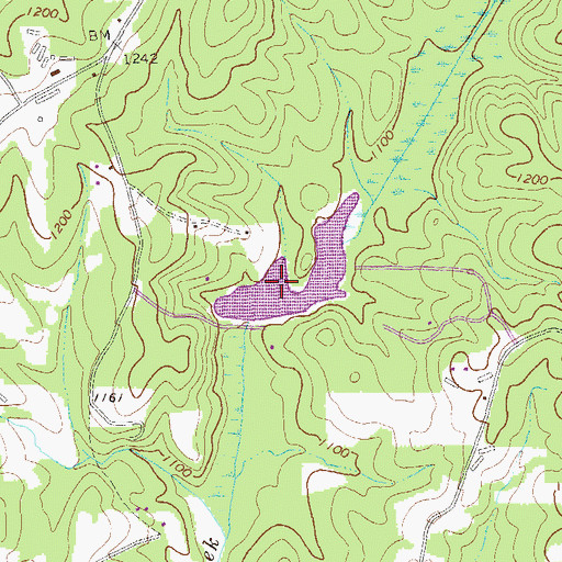 Topographic Map of Muse Lake, GA