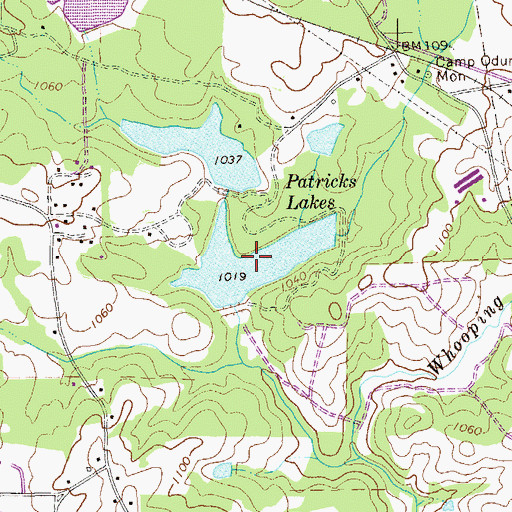 Topographic Map of South Patrick Lake, GA