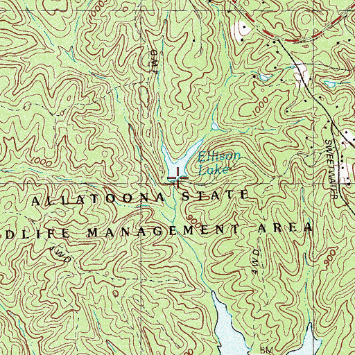 Topographic Map of Ellison Lake Dam, GA