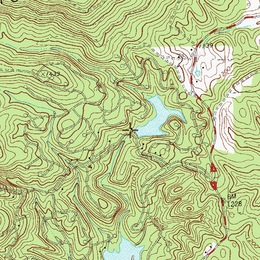 Topographic Map of Chickasaw Lake Dam, GA