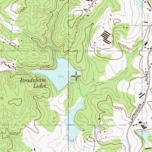 Topographic Map of Bradshaw Lake Dam, GA