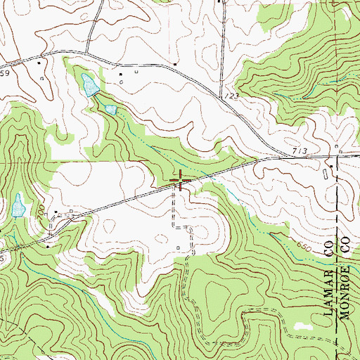Topographic Map of Pippin Lake Dam, GA