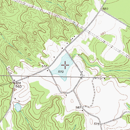 Topographic Map of Ray Lake, GA