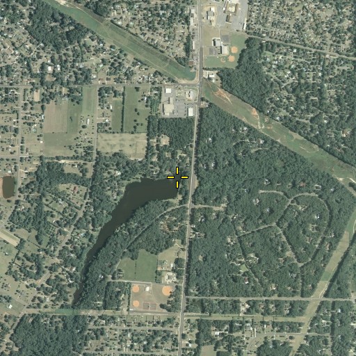 Aerial/Satellite Image of Moore Lake Dam, GA