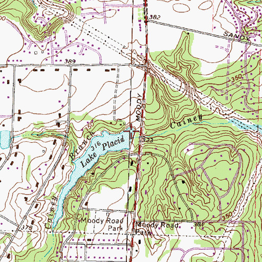 Topographic Map of Moore Lake, GA