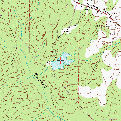 Topographic Map of Livingston Lake, GA