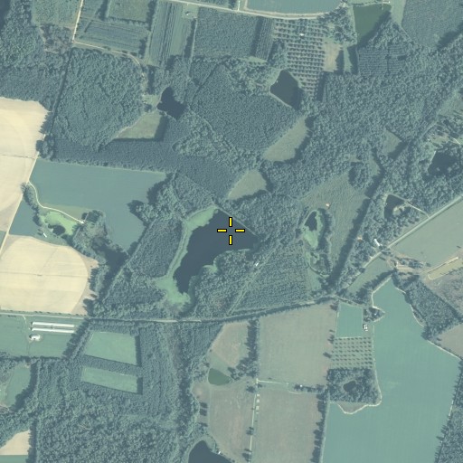 Aerial/Satellite Image of Durrence Dam, GA
