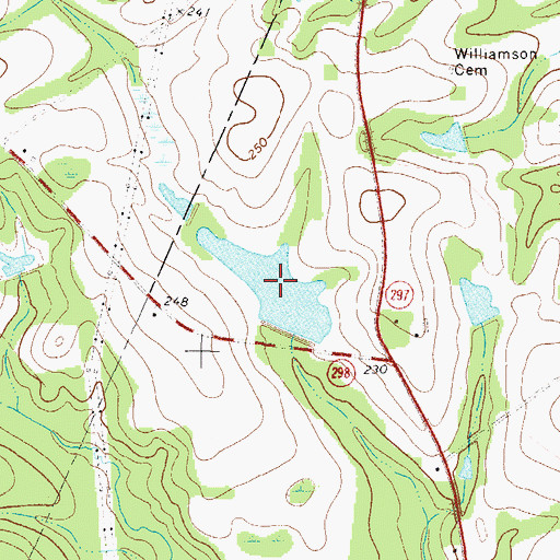 Topographic Map of Rice Lake, GA