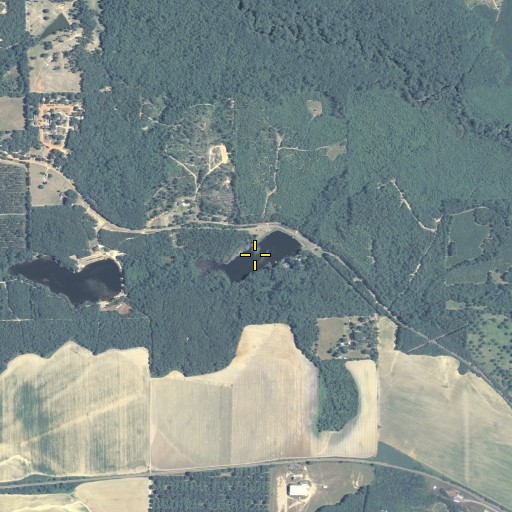 Aerial/Satellite Image of Whatley Lake, GA