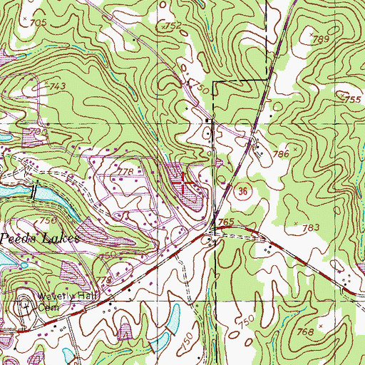 Topographic Map of Long Lake, GA