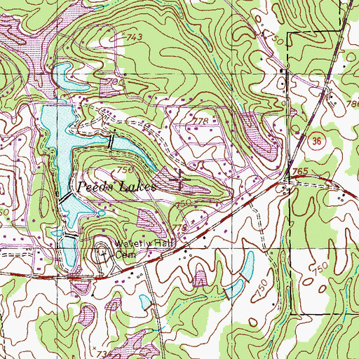 Topographic Map of Silver Lake, GA