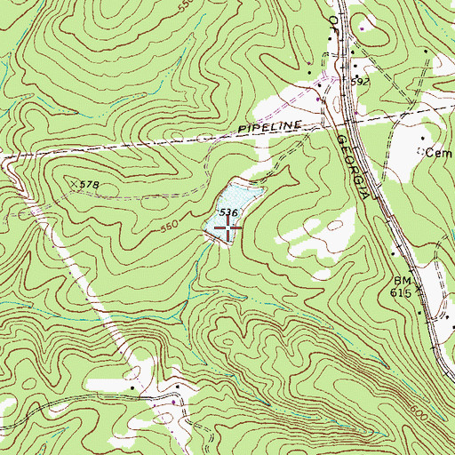 Topographic Map of Ethridge Dam, GA