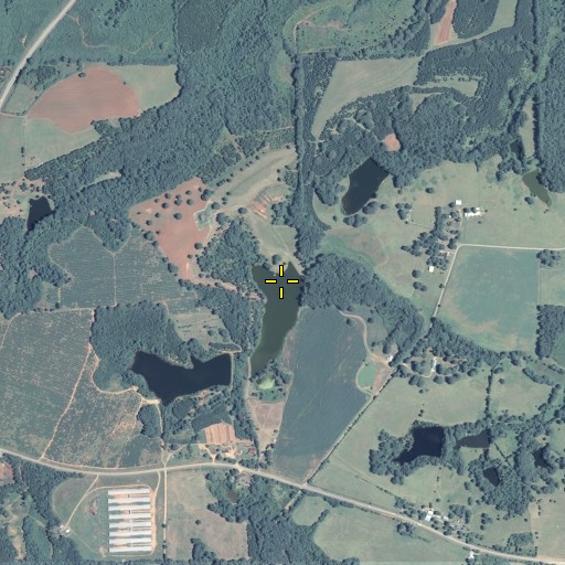 Aerial/Satellite Image of Pierson Lake Dam, GA