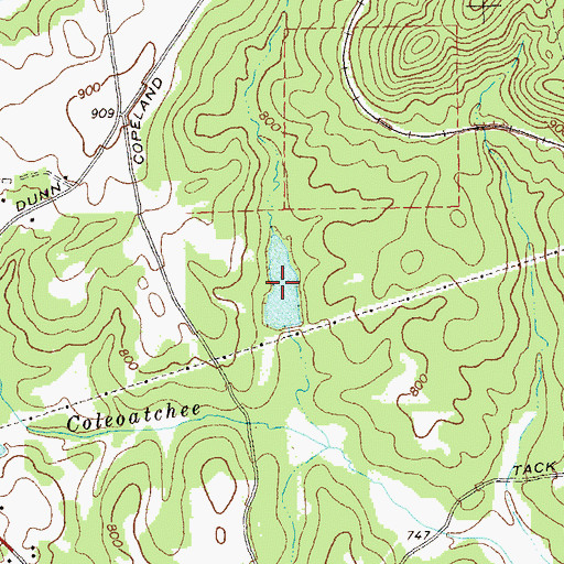 Topographic Map of Copeland Lake, GA