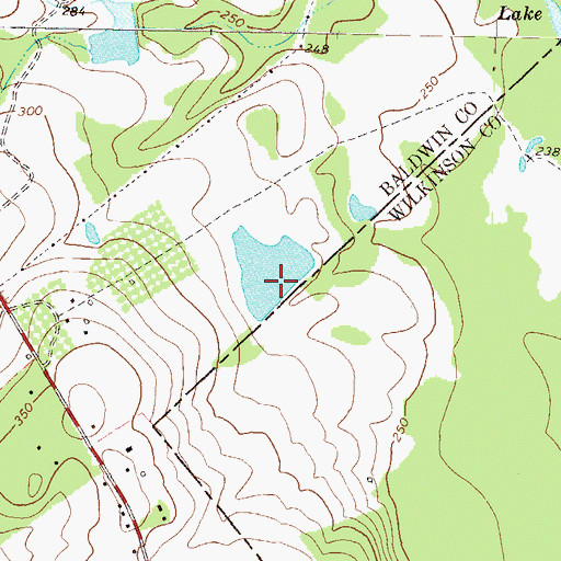 Topographic Map of Hollinshead Pond Dam, GA