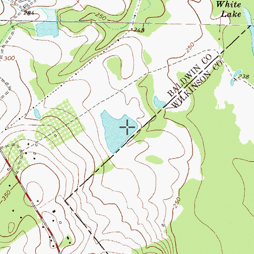 Topographic Map of Hollinshead Pond, GA