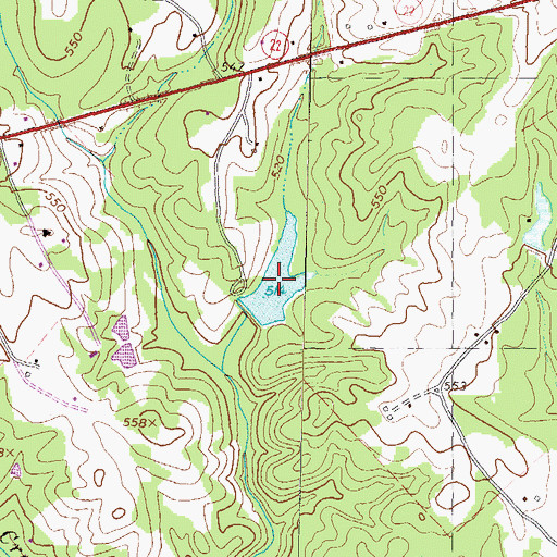 Topographic Map of Briscoe Lake, GA