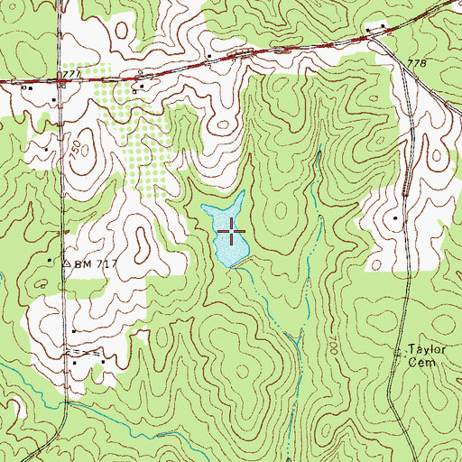 Topographic Map of English Lake, GA