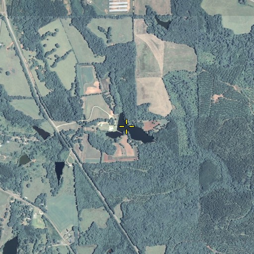 Aerial/Satellite Image of Haygood Pond, GA