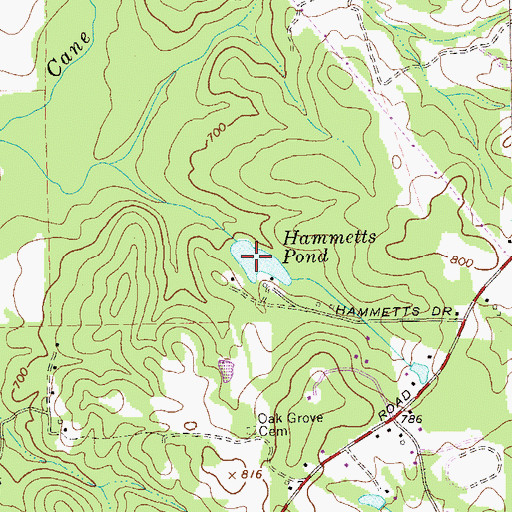 Topographic Map of Hammetts Dam, GA