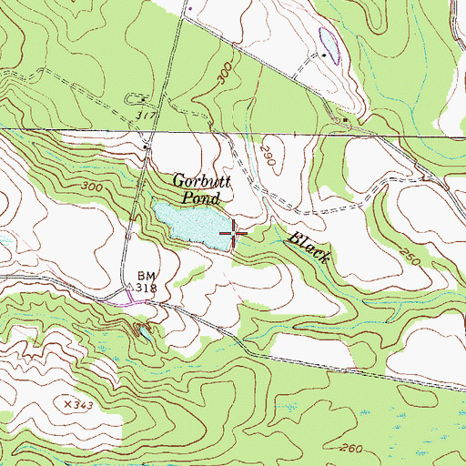 Topographic Map of Gorbutt Pond Dam, GA