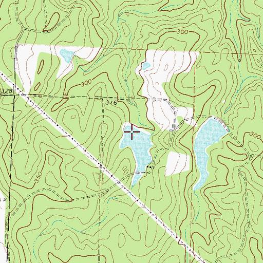 Topographic Map of Snowden Lake West Dam, GA