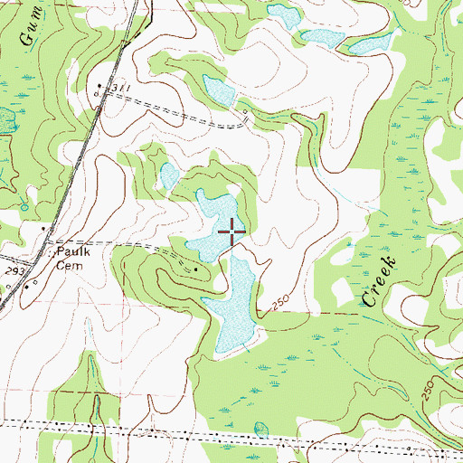 Topographic Map of C Paulk Lake Dam, GA