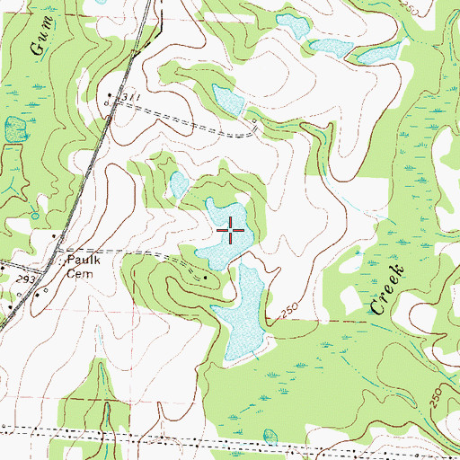 Topographic Map of C Paulk Lake, GA