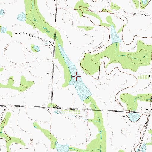 Topographic Map of Veal Lake, GA
