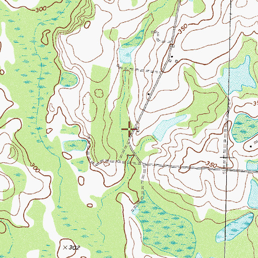 Topographic Map of Wiltons Lake Dam, GA